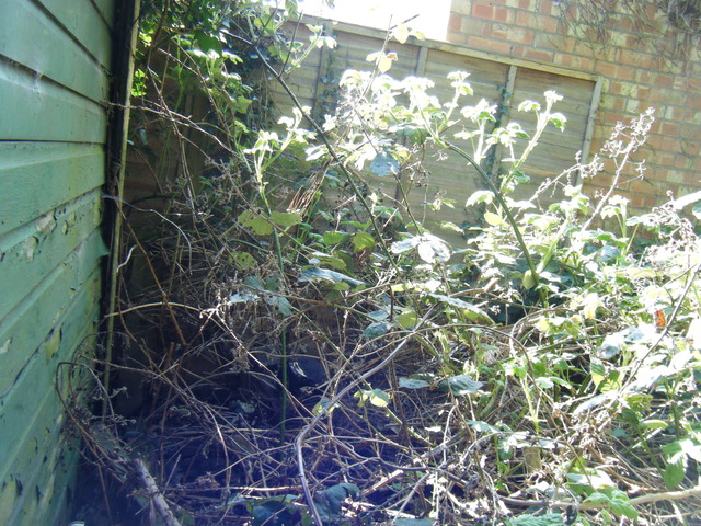 dscf5077.jpg